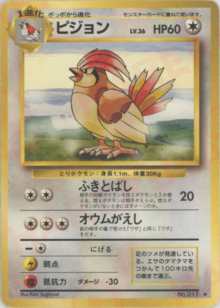 ピジョン 旧裏 拡張パック第1弾（再販）｜ポケモンカード通販