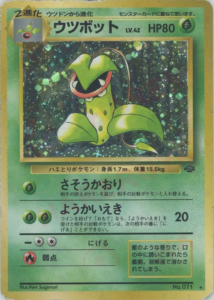 ポケモンジャングル 旧裏 全48種｜ポケモンカード通販
