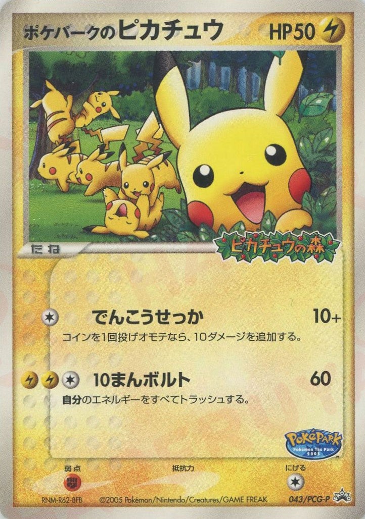 ポケパーク　ポケカ　13種類 ポケモンカード｜PRICE BASE通販