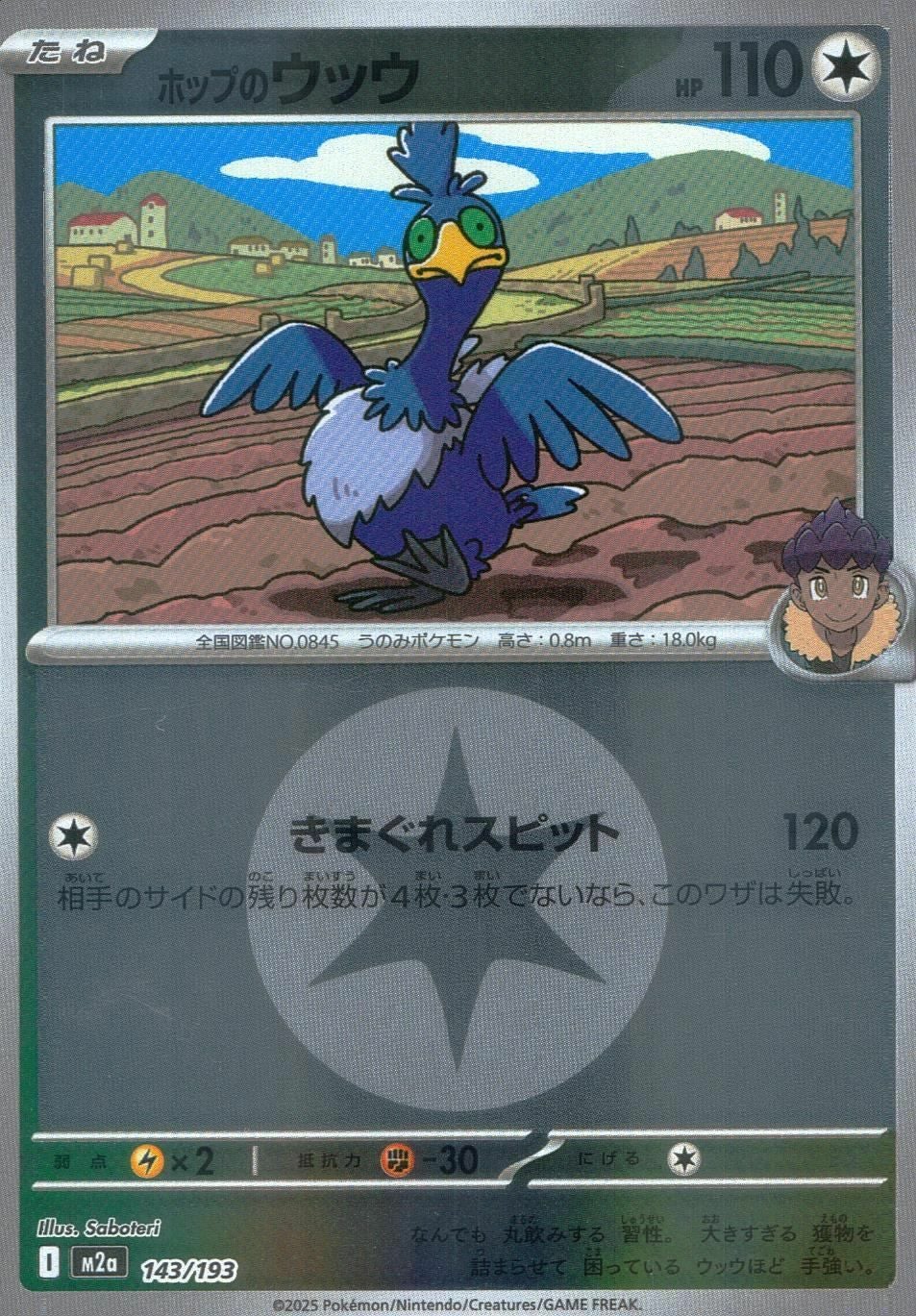(3枚)カナリィ SR 219/193 カナリィ 219/193 SR｜ポケカシングルカード通販｜Cloveストア