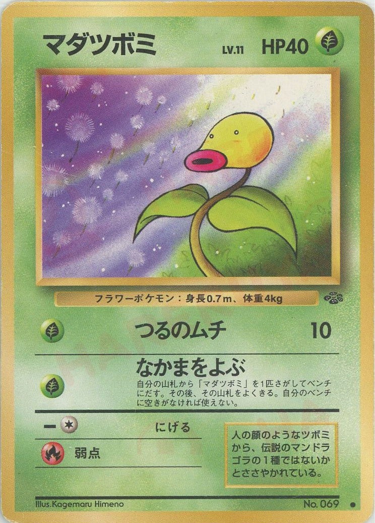マダツボミ 旧裏 ポケモンジャングル
