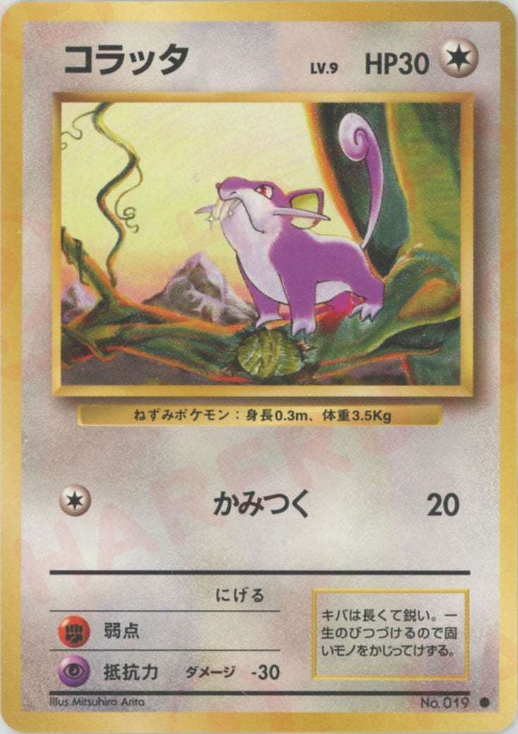コラッタ 旧裏 拡張パック第1弾（再販）