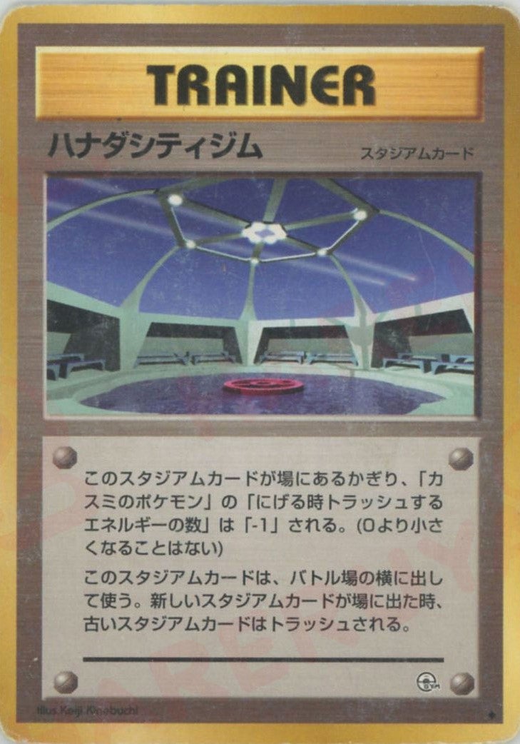 ハナダシティジム 旧裏 ジム拡張第1弾「リーダーズスタジアム